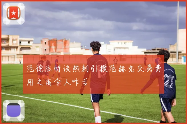 范德法特谈热刺引援范赫克交易费用之高令人咋舌