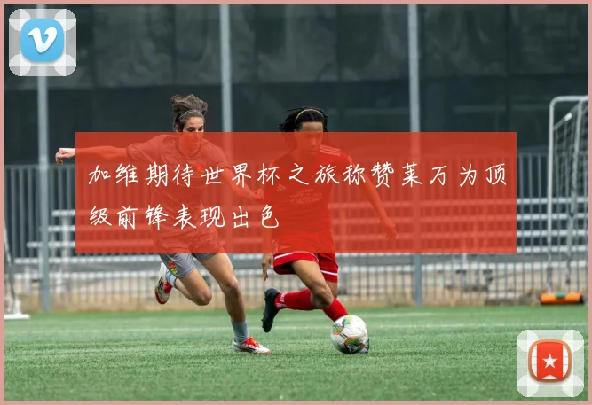 加维期待世界杯之旅称赞莱万为顶级前锋表现出色